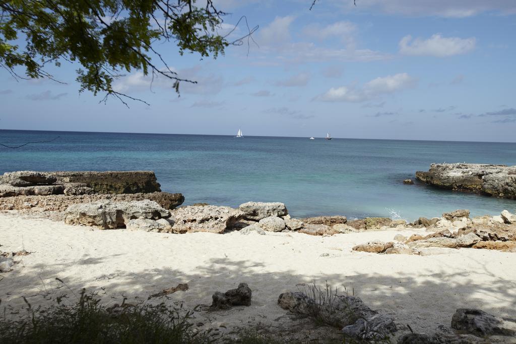Villa Bougainvillea Aruba, The Tango Suite Palm Beach Kültér fotó